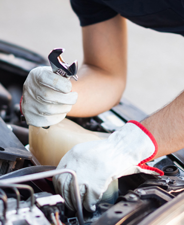 MECHANICS GLOVES